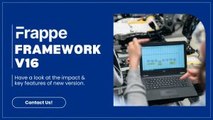 Frappe Framework v16